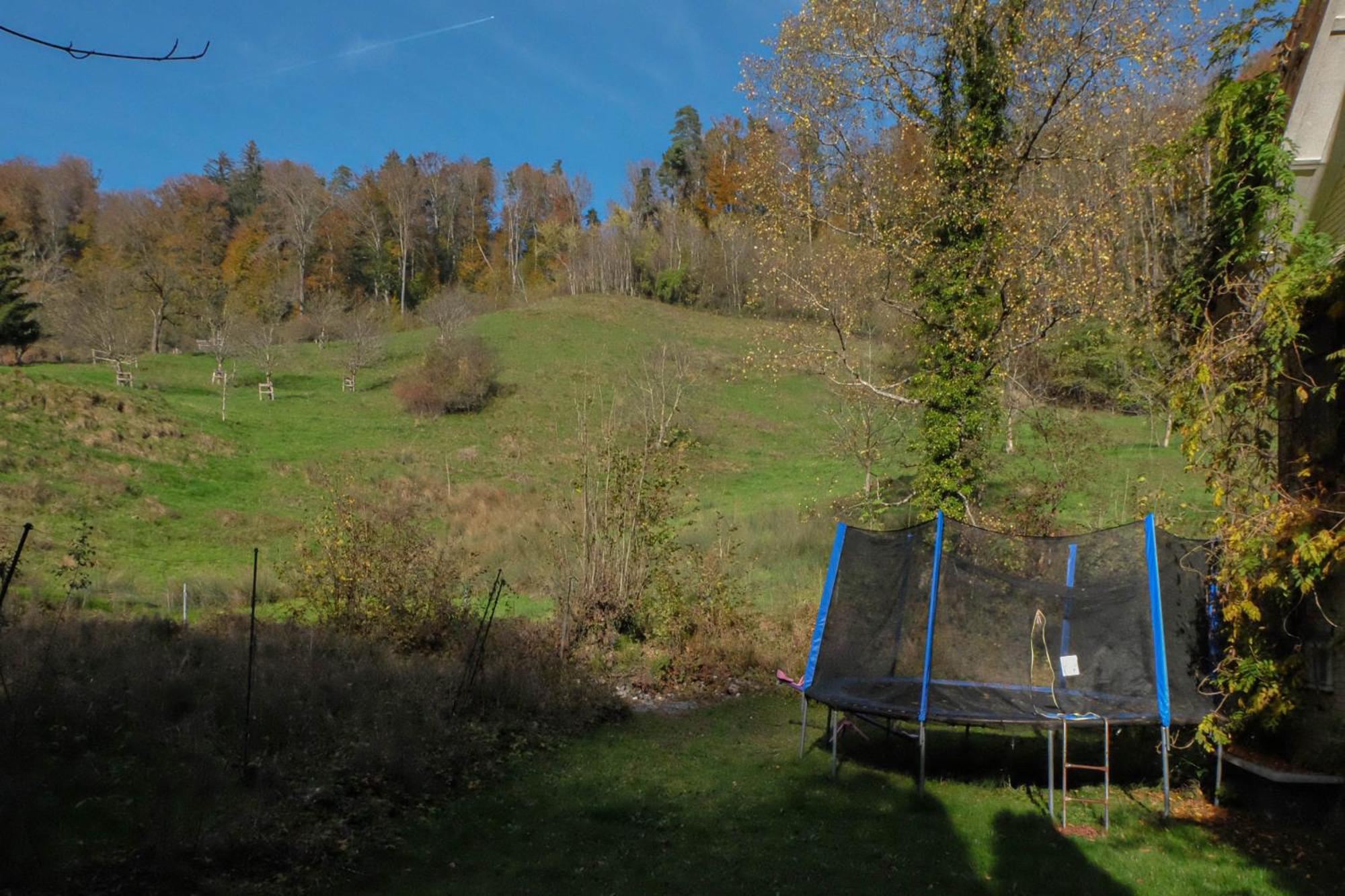 Ferienwohnung Im Gruenen Altstätten Esterno foto